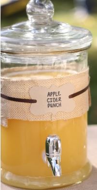 Apple Cider Punch